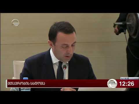 ირაკლი ღარიბაშვილი მთავრობის სხდომაზე