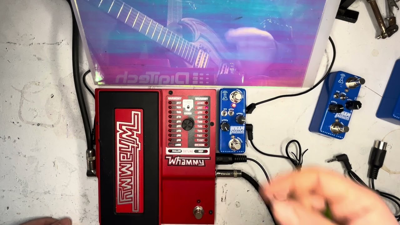 Whampanion | NOVEMBER LABS