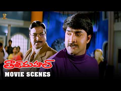 Taj Mahal Movie Scenes | Srikanth, Monica Bedi, Srihari | SP Movies Scenes
