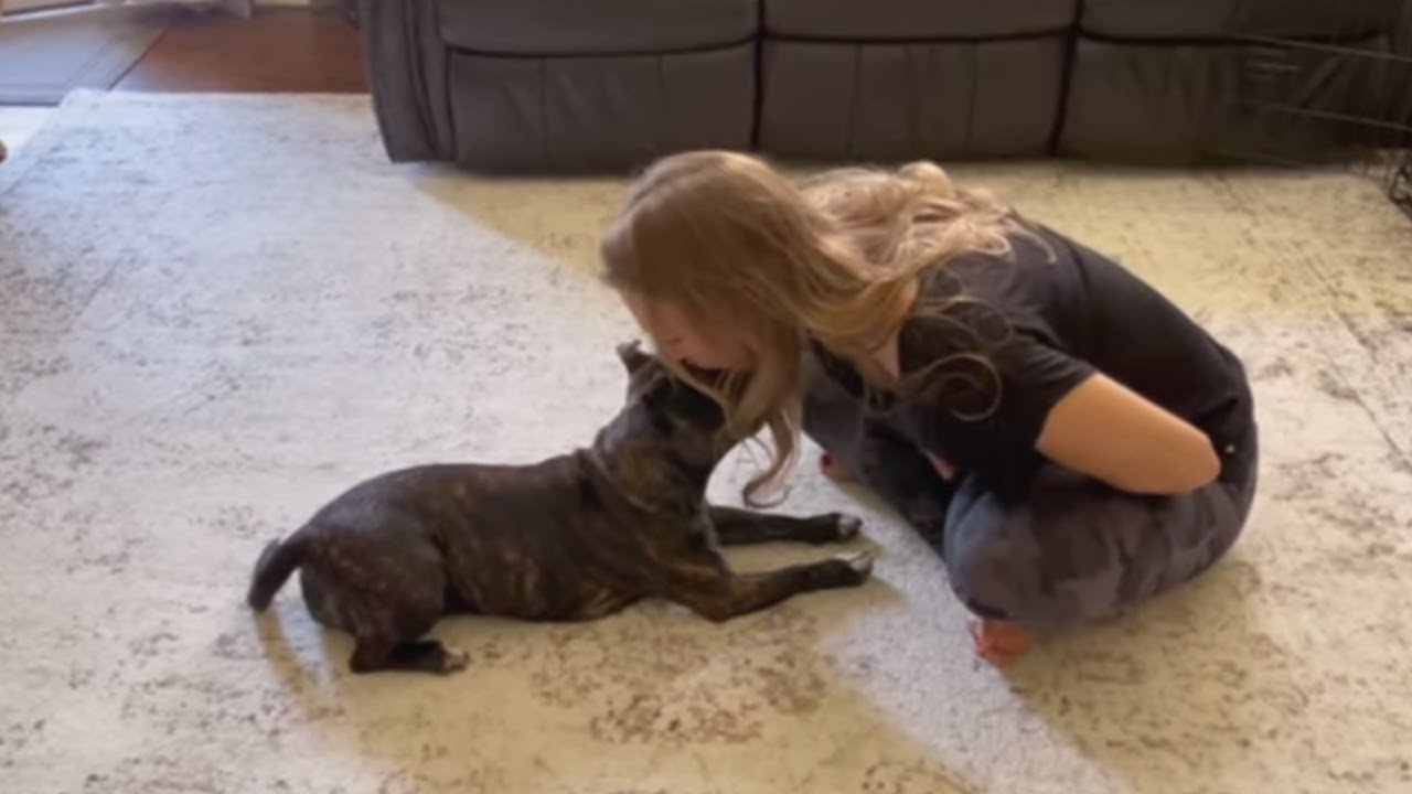 I kissed my Dog on the head to see what would happen.. Wait for it