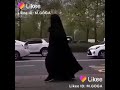 العفيفة الطاهرة