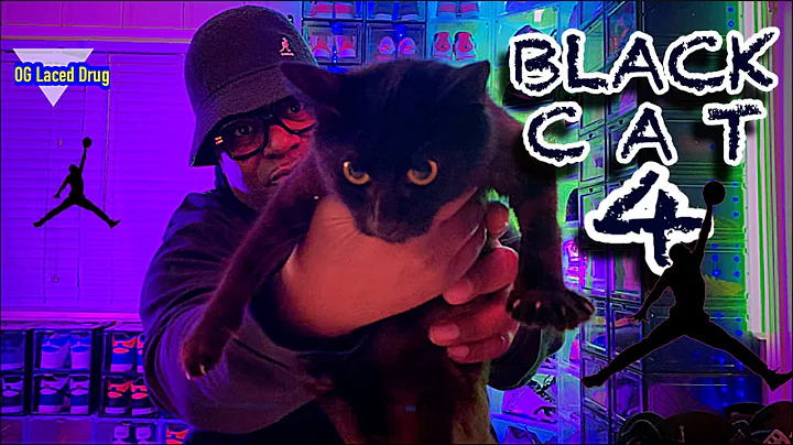 Air Jordan 4 “Black Cat” Release !!!!  Sitting in Stores !!! CRAZY RESTOCK !!! #sneakers 