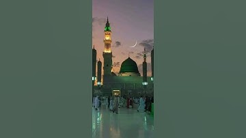 سورة المسد بصوت الشيخ ياسر الدوسري .