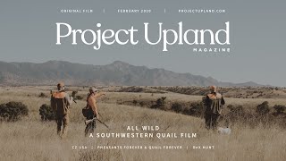 Hunting Mearns, Scaled, and Gambel's Quail in Arizona  All Wild  A Project Upland Original Film