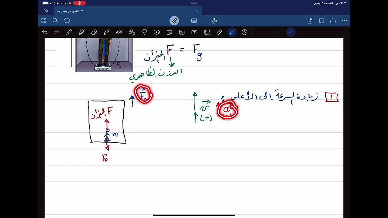 الوزن الظاهري