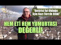 Hem Eti Hem Yumurtası Değerli - Çiftçinin Seyir Defteri