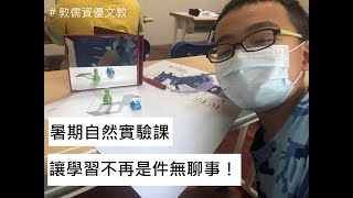暑期先修 自然實驗課 視錯覺｜敦儒資優文教
