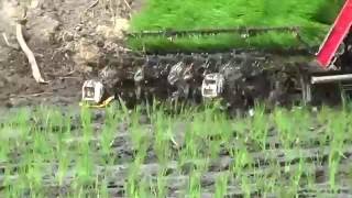 YANMAR | Transplanter operation in Vietnam