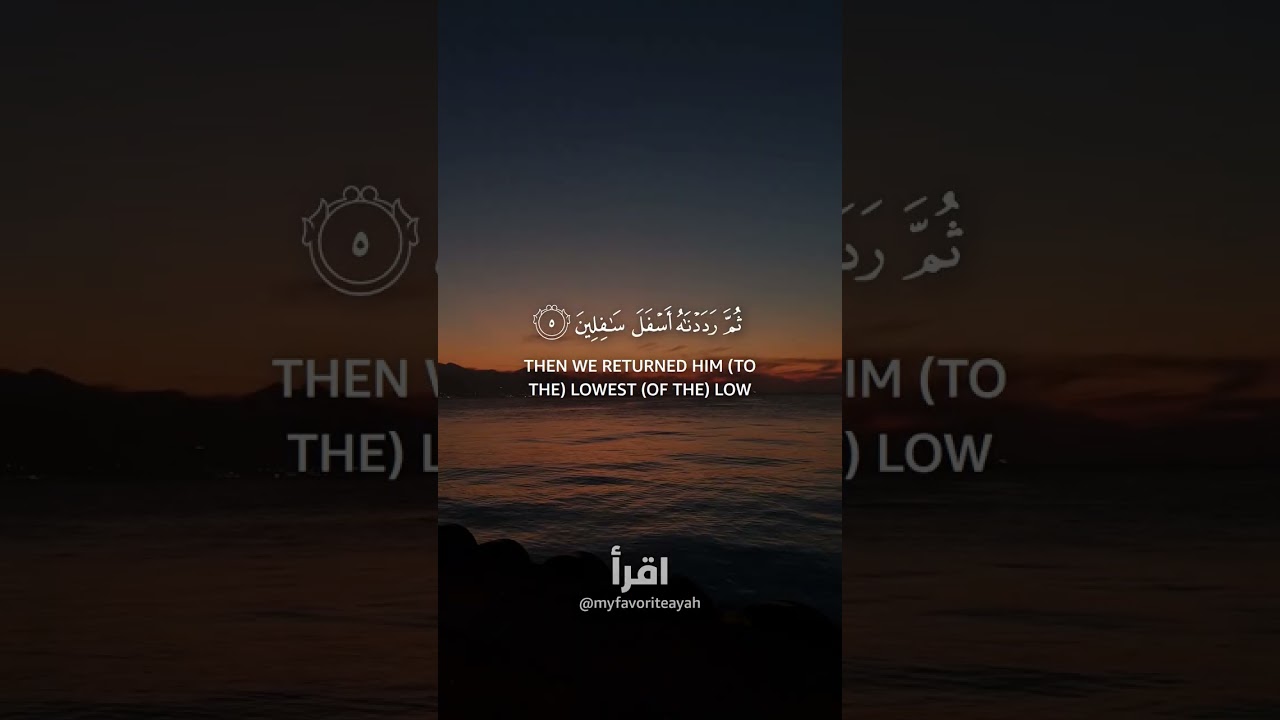 Surah At-Tin Peaceful Quran Recitation For Sleep & Protection
