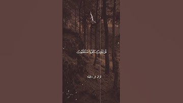 قران كريم ارح قلبك وسمعك #quran #yasseraldossary #قران #المصحف #duet @قران_في_دقيقة