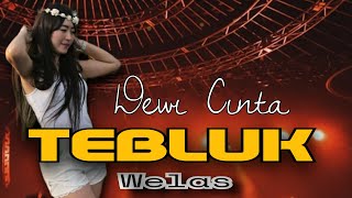 Dewi Cinta - Tebluk Welas Official Music Video