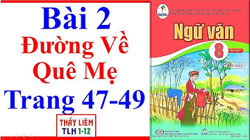 Ngữ Văn 8 Bài 2 | Đường Về Quê Mẹ | Trang 47 – 49 | Cánh Diều