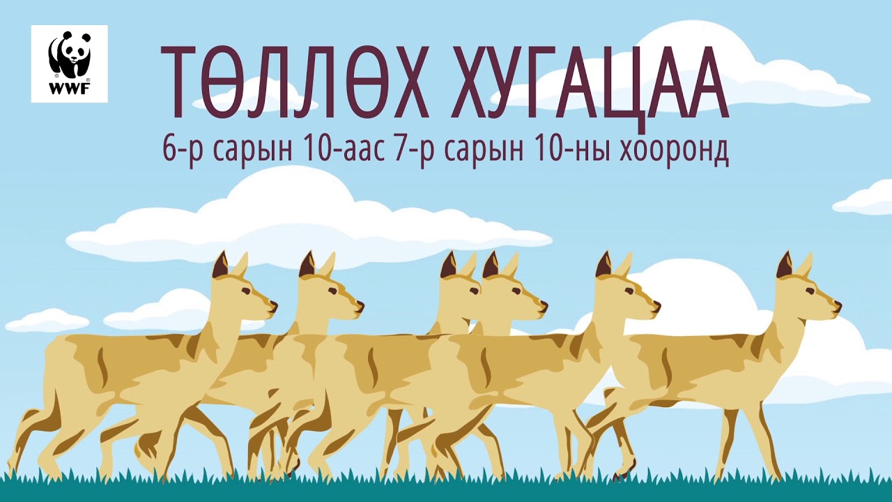 Цагаан зээр