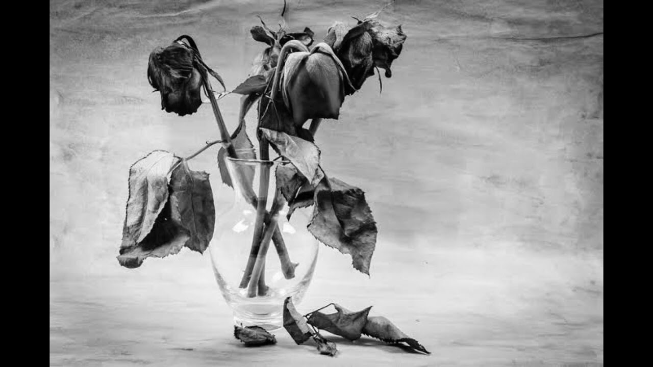 Stromae - Formidable (Slowed + Reverb)