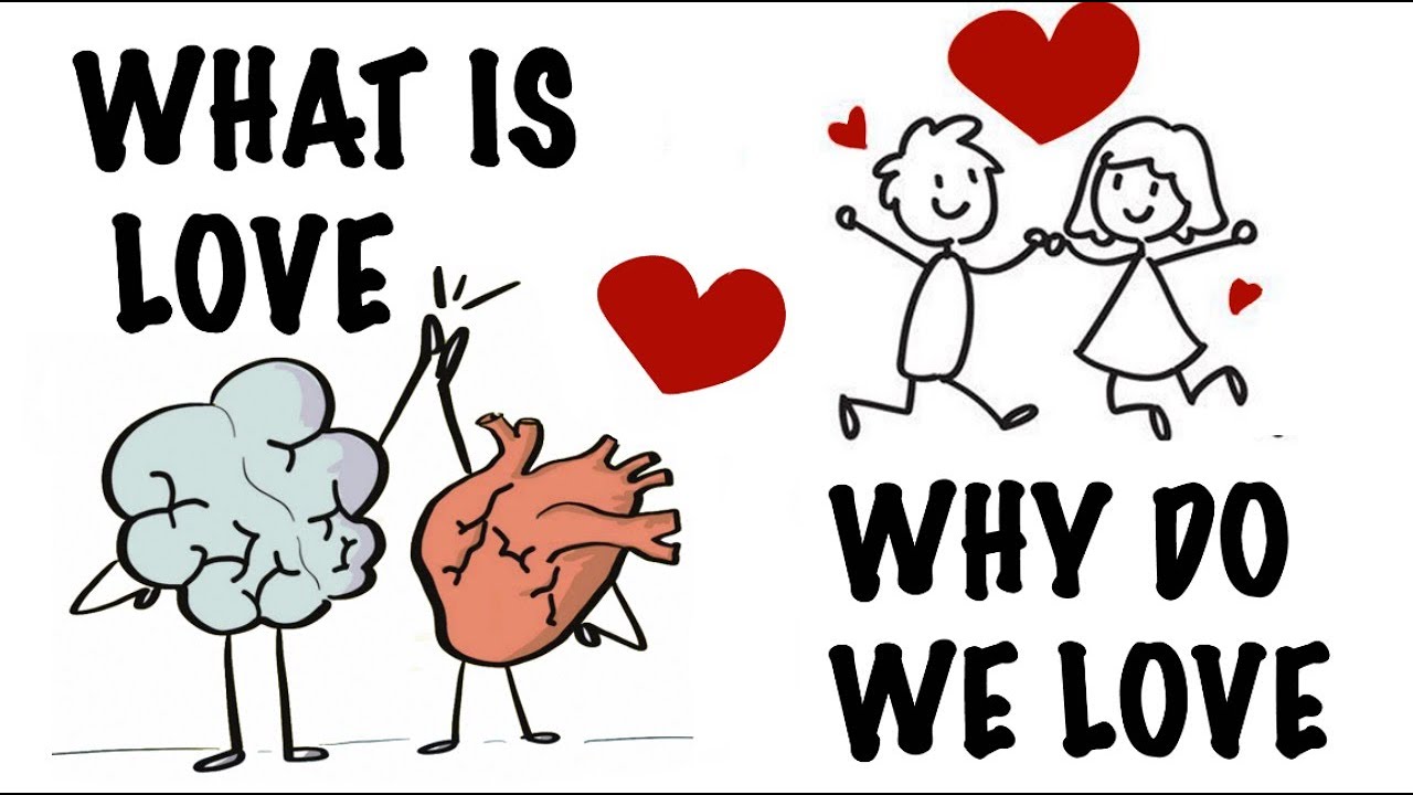 What is love? Why do we love? YouTube