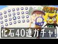 【あつ森】フータも衝撃の化石ガチャ40連！港町エリアもちょこっと改良！【あつまれどうぶつの森】