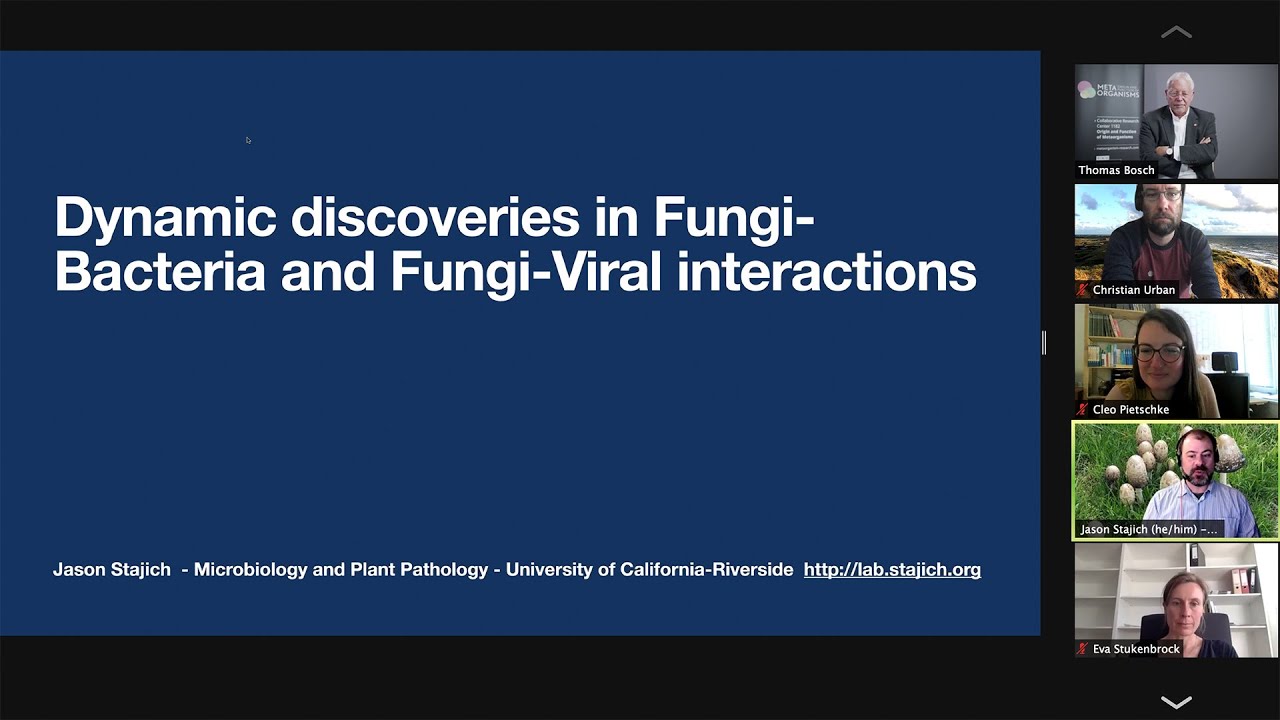 Talk: Jason Stajich, UC Riverside,  Discoveries of Fungi-Bacteria and Fungi-Viral Interactions