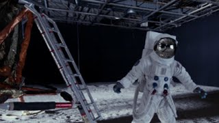 映画『ムーン・ウォーカーズ』予告編