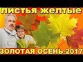 Золотая осень 2017Листья желтыеПрогулка в парке и в кремле