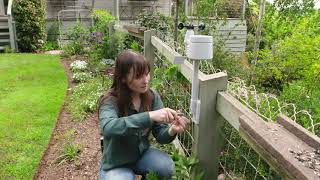 The Garden Gurus - Holman Weather Station