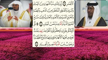 سورة أل عمران١٤-١٥الشيخ عبدالرشيد شيخ علي صوفي والشيخ ياسر الدوسري