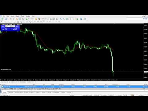 download video belajar forex