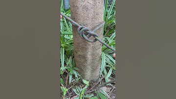 Knot Mostly use in our Daily Life