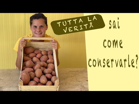 Video: Semina Patate: Segreti Di Raccolta E Conservazione