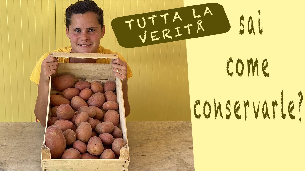 PATATE dalla RACCOLTA alla CONSERVAZIONE! 🥔 💪🏻