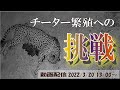 【予告編】チーター繁殖への挑戦　～つなげ、命と願い～【千葉市動物公園公式】