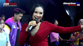Panorama Dian Prima - All Artis
