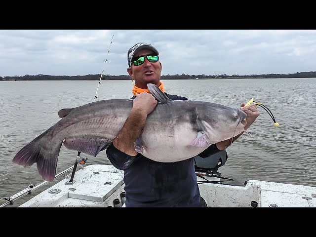 FOX Sports Outdoors SouthWEST #2 - 2019 Tawakoni Texas Blue Catfishing 