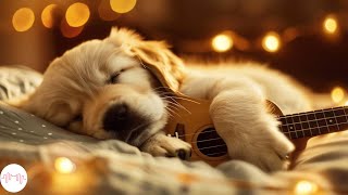 Music For Dogs !  Calm Your Dog and Help them Have a Sound Sleep with this Music!