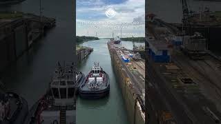 Напоминаем про услугу от Seamen_Help - рассылка CV/application form/ LinkedIN