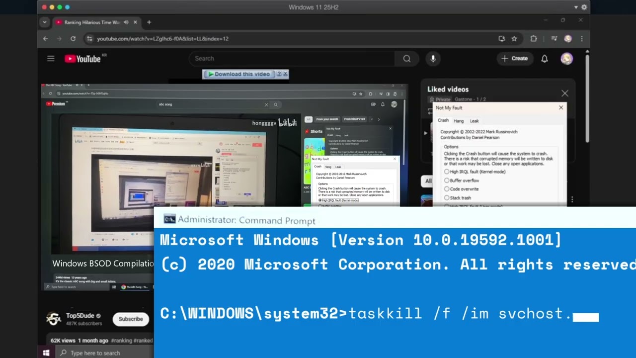 Windows BSOD Compilation Part 9 has 2 BSOD's