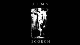 OLMS - The body and hate chords