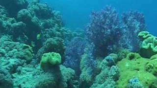 Djibouti diving in the Seven Brothers mpeg2video