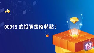 #凱基投信00915 - 00915 的投資策略特點