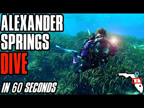 How to scuba dive Alexander Springs, FL | 1 minute dive site breakdown video | Down to 60