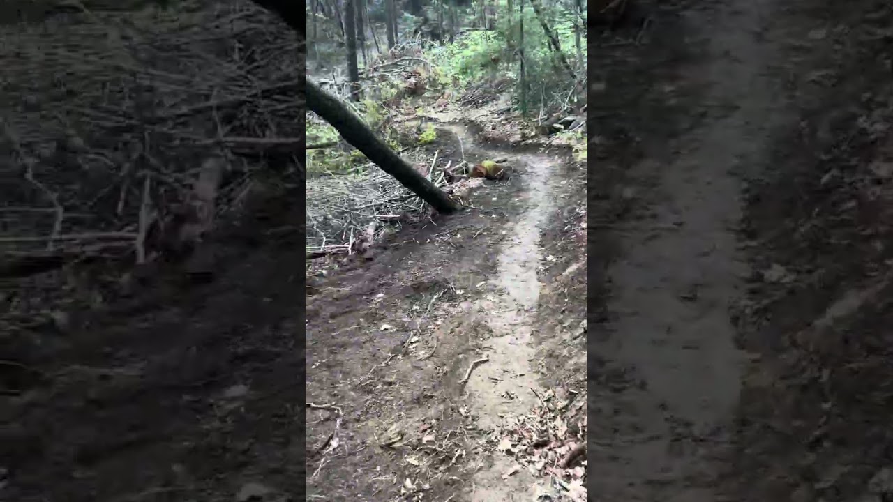 Re route of the Table Rock Gap/MST trail in Linville Gorge 