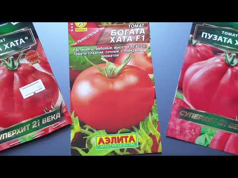 Видео: Не Пузата-а Богата хата F. Сладкий, ранний, урожайный томат - для ранней грядки в открытый грунт.