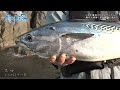【釣り百景】#419 これぞ磯釣りのダイナミズム！磯の大物師・男女群島に挑む