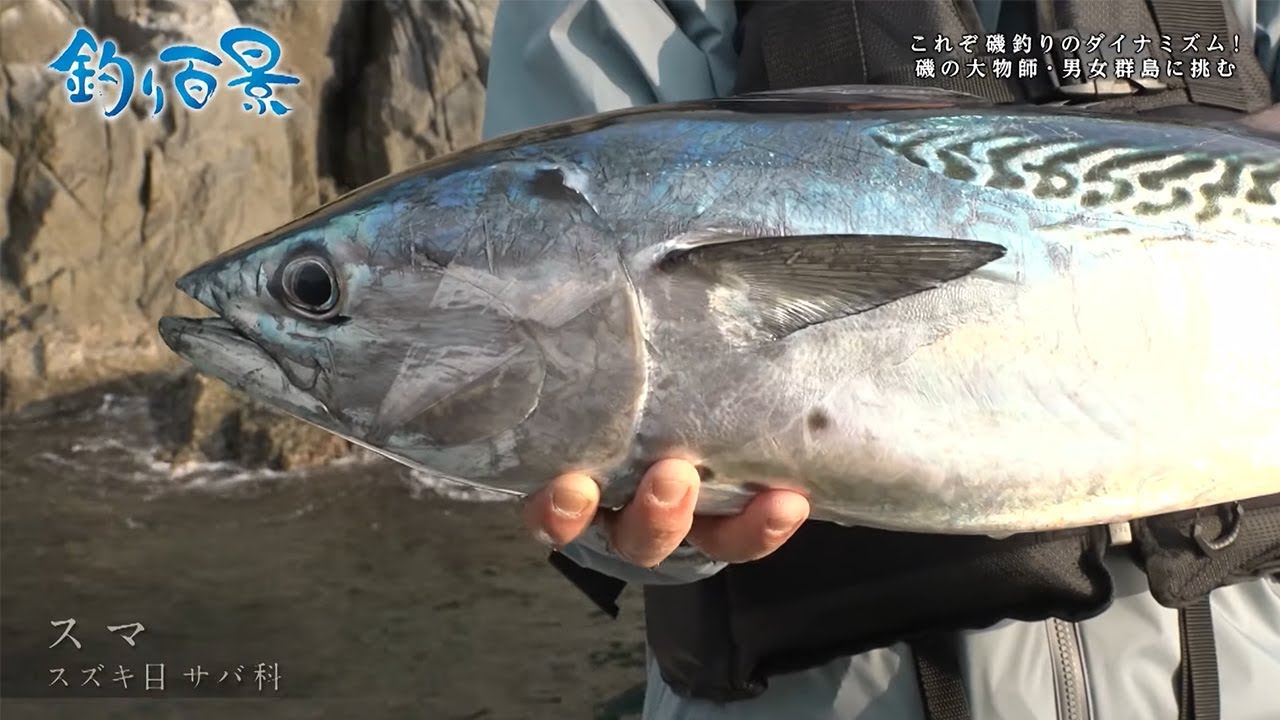 【釣り百景】#419 これぞ磯釣りのダイナミズム！磯の大物師・男女群島に挑む