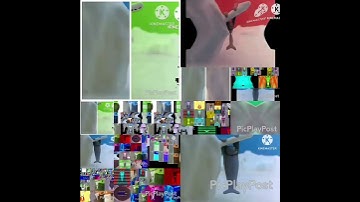 too many pingu does the camera