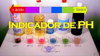 INDICADOR DE PH CASERO