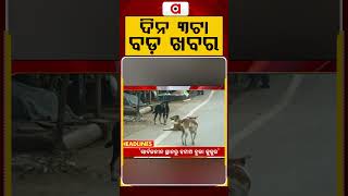 ଦିନ ୩ଟା ବଡ଼ ଖବର | 3PM Headlines | Today Top News | Big Breaking | Odisha Update | Argus News