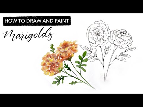 Watercolour Marigolds - How To Draw And Paint OCTOBER'S Birth Month Flower