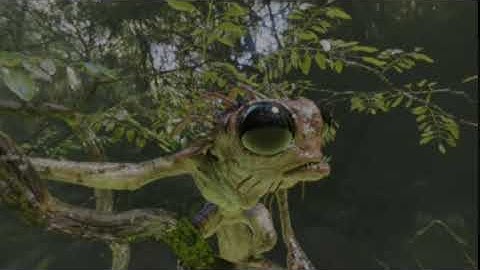 Blender 2.8 BETA Eevee VR 180 Equirectangular  TreeCreateure