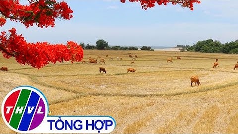 UNESCO công nhận Khu dự trữ sinh quyển Núi Chúa – Ninh Thuận