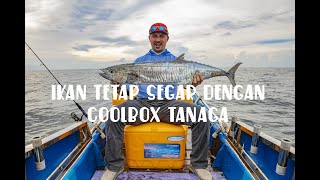 Ikan Tetap Segar dengan Coolbox Tanaga !